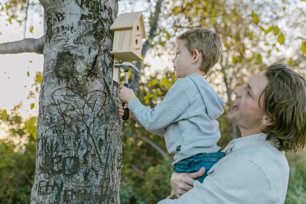 The Birds That Use Beautiful Wooden Birdhouses and How to Make the Most of Them