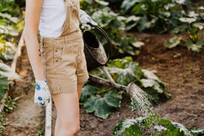 Breathtaking Garden Decorations: Bring Life to Your Outdoor Oasis with Small Animal Garden Figurines and More